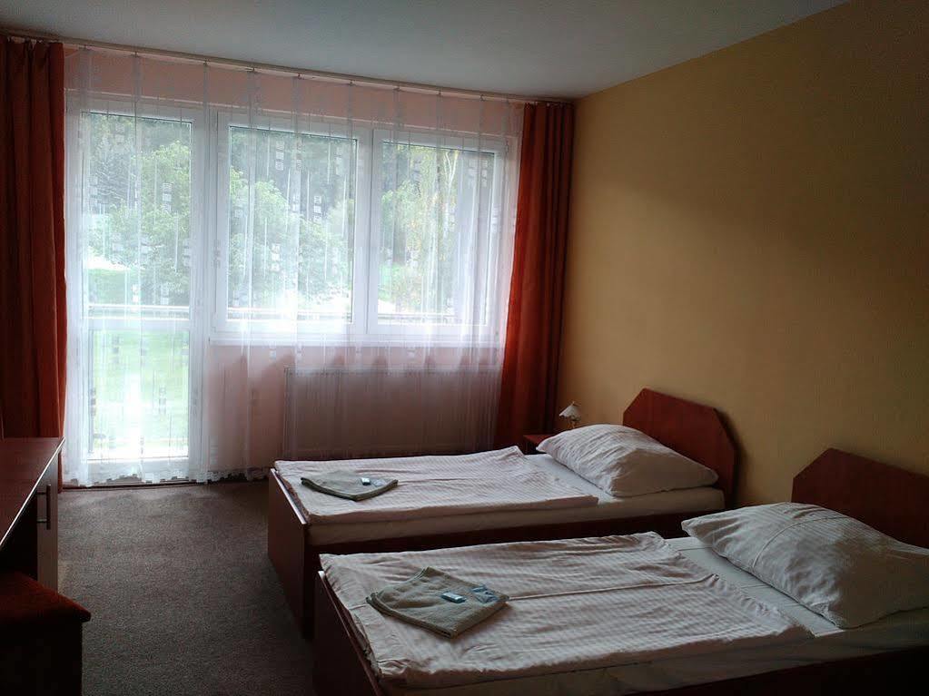 Hotel Panorama テプリツェ エクステリア 写真
